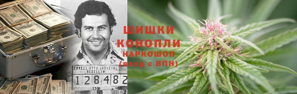apvp Алексин