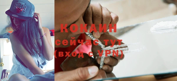 трава Наволоки