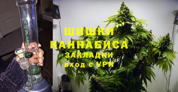 винт Алзамай