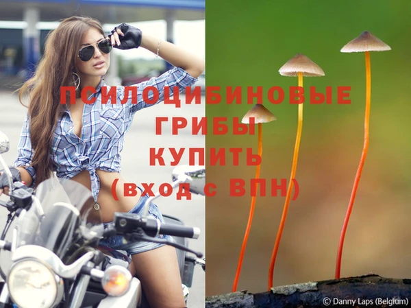тгк Алексеевка