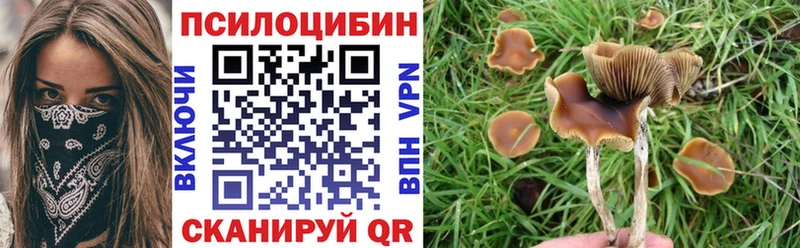 Галлюциногенные грибы мицелий Чёрмоз